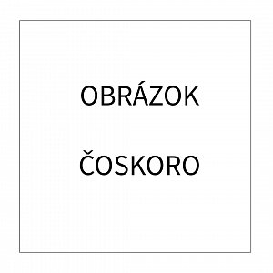 Štúdiový blesk 600Ws